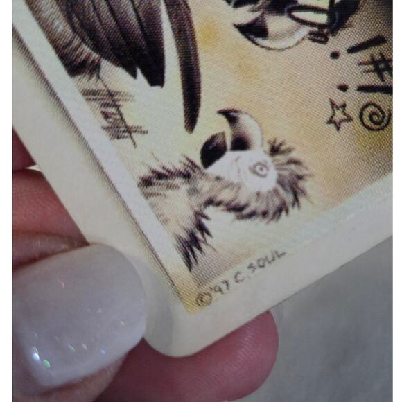 Lot 3 Jimmy Buffett Caribbean Soul STICKER Got Salt Parrot Big Kahuna Surf Shop - Picture 7 of 11